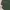 Timberland Olive Green Military Army Jacket photo 8