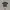 Columbia Y2K Sportswear Jersey Pria black gray photo 1