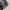 Columbia Y2K Sportswear Jersey Pria black gray photo 6