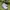 PUMA BMW MMS ELECTRON photo 2