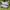 PUMA BMW MMS ELECTRON photo 3