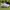 PUMA BMW MMS ELECTRON photo 1