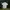 top shirt polo  photo 1