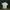 Top Shirt Polo 