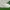 Adidas Nizza HI Broken white  photo 1