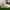Adidas Nizza HI Broken white  photo 1