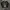 Jacket Workjacket Safeland Size XL photo 1