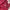 Badblood FFB Wide Color Denim Jeans photo 4