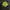 Windbreaker reflective neon  photo 1