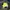 Windbreaker reflective neon  photo 2