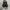Converse Chuck Taylor All Star 70S High Black White photo 5