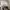Converse Chuck Taylor All Star 70S High Black White photo 7