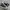 Converse Chuck Taylor All Star 70S High Black White photo 3