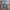 Vintage levis 517 boot cut flare photo 1
