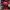Jersey NFL Footbal club Falcons photo 5
