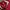 Jersey NFL Footbal club Falcons photo 8