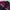 SNOWBOARD NORDICA CORDURA JACKET photo 4