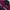 SNOWBOARD NORDICA CORDURA JACKET photo 8