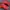 Saucony Endorphin Speed 4 photo 2