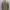 Katharine Hamnett Minimalist Bomber Jacket Pria Tan
