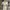 Top white photo 1