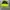 Naiki big swoosh fashion jacket photo 6
