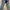 H&M Y2K Casual Jegging Wanita Blue
