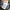 MaxMara Luxury Midi dress Wanita blue photo 7