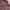 Vintage Casual Casual shirt Pria burgundy photo 7