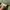 Gramicci Baggy Pants photo 5