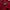 GARMENTS NYLON MAROON JACKET | OUTERWEAR | GS  photo 3