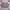 VOODOO - 415 - Vintage Twotone Stripes 3D Embossed Pattern photo 2
