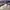 LOUIS VUITTON TRAINER BEIGE GREY , LOUIS VUITTON TRAINER GRE photo 1