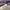 LOUIS VUITTON TRAINER BEIGE GREY , LOUIS VUITTON TRAINER GRE