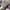 LOUIS VUITTON TRAINER BEIGE GREY , LOUIS VUITTON TRAINER GRE photo 6
