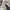 LOUIS VUITTON TRAINER BEIGE GREY , LOUIS VUITTON TRAINER GRE photo 7