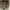 LOUIS VUITTON TRAINER BEIGE GREY , LOUIS VUITTON TRAINER GRE photo 9