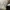 LOUIS VUITTON TRAINER BEIGE GREY , LOUIS VUITTON TRAINER GRE photo 8