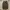 GIORDANO PARKA JACKETS KANVAS photo 1