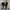 Converse CT 70s X Essentials Fear Of God  photo 3