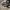 Converse CT 70s X Essentials Fear Of God  photo 6