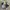 Converse CT 70s X Essentials Fear Of God  photo 1