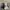 Converse CT 70s X Essentials Fear Of God 