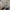 Adidas Nizza Hi Triple White photo 7