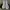 Adidas Nizza Hi Triple White photo 2