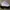 Adidas Nizza Hi Triple White photo 1