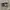 Vans Authentic  photo 3