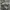 Vintage Leather jacket Pria khaki tan photo 4