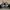 Converse CT All Star OX Metallic Herbal photo 3