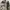 Kemeja Vintage Fashion Military photo 4
